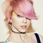 Unternehmen 7 Bild SALON PALMITOS MÜNCHEN Zoohandlung am München BY