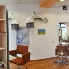 Unternehmen 12 Bild SALON PALMITOS MÜNCHEN Zoohandlung am München BY