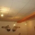 Unternehmen 13 Bild SALON PALMITOS MÜNCHEN Zoohandlung am München BY