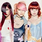 Unternehmen 21 Bild SALON PALMITOS MÜNCHEN Zoohandlung am München BY