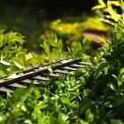 Unternehmen 1 Bild SAPPER GRÜN GARTEN UND LANDSCHAFTSBAU KONSTANZ Strassenbauunternehmen am Konstanz BW