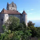 Unternehmen 4 Bild SEE-GUIDE STADTFÜHRUNGEN KONSTANZ Veranstaltungen & Messen am Konstanz BW