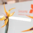 Unternehmen 1 Bild SENZERA WAXINGSTUDIO MÜNCHEN Kosmetiksalons am München BY