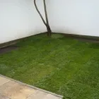 Unternehmen 1 Bild SERVICE - ENGEL - BERLIN Immobilien am Berlin BE