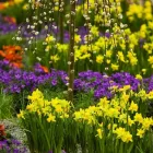 Unternehmen 3 Bild SPÄTH'SCHE BAUMSCHULEN HANDEL GMBH Produktion und Vertrieb von Pflanzen am Berlin BE