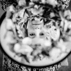 Unternehmen 10 Bild SPREE-LIEBE HOCHZEITSFOTOGRAFIE | HOCHZEITSFOTOGRAF BERLIN Tv, Hi-Fi, Film, Foto, Dienstleistungen am Berlin BE