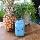 Unternehmen 1 Bild SPREEGOLD PANKOW Restaurant & Café am Berlin BE