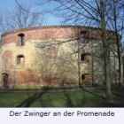 Unternehmen 16 Bild STADT LUPE MÜNSTER TOURISTIK UND FÜHRUNGEN Reiseunternehmen, Verkehrsbetrieb am Münster NW