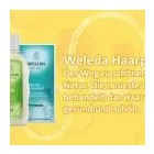 Unternehmen 13 Bild STARAROMA Ärzte am Munster NI