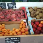 Unternehmen 6 Bild STEPHAN‘S KLEINE MARKTHALLE Lebensmittel & Bäckereien am Rodgau HE