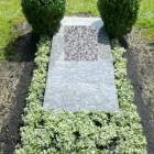 Unternehmen 2 Bild SYLVIA HELD FRIEDHOFSGARTENBAU GÄRTNER BLUMEN | MÜNCHEN Produktion und Vertrieb von Pflanzen am München BY