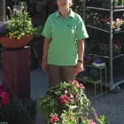 Unternehmen 13 Bild SYLVIA HELD FRIEDHOFSGARTENBAU GÄRTNER BLUMEN | MÜNCHEN Produktion und Vertrieb von Pflanzen am München BY