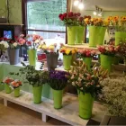 Unternehmen 16 Bild SYLVIA HELD FRIEDHOFSGARTENBAU GÄRTNER BLUMEN | MÜNCHEN Produktion und Vertrieb von Pflanzen am München BY