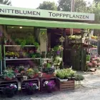 Unternehmen 17 Bild SYLVIA HELD FRIEDHOFSGARTENBAU GÄRTNER BLUMEN | MÜNCHEN Produktion und Vertrieb von Pflanzen am München BY