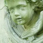 Unternehmen 19 Bild SYLVIA HELD FRIEDHOFSGARTENBAU GÄRTNER BLUMEN | MÜNCHEN Produktion und Vertrieb von Pflanzen am München BY