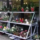 Unternehmen 22 Bild SYLVIA HELD FRIEDHOFSGARTENBAU MÜNCHEN Soziales & Gesellschaft am München BY