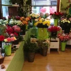 Unternehmen 24 Bild SYLVIA HELD FRIEDHOFSGARTENBAU MÜNCHEN Soziales & Gesellschaft am München BY