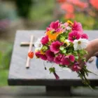 Unternehmen 20 Bild SYLVIA HELD FRIEDHOFSGARTENBAU MÜNCHEN Soziales & Gesellschaft am München BY