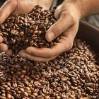 Unternehmen 1 Bild TCHIBO FILIALE Textil, Bekleidung Einzelhandel am Berlin BE