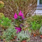 Unternehmen 1 Bild TEAM GREEN PAVLOVIC E.K. Service & Dienstleistung am München BY