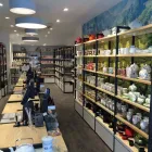 Unternehmen 2 Bild TEEGSCHWENDNER Teeladen am Münster NW