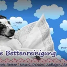 Unternehmen 5 Bild TEXTILREINIGUNG MAYLAHN Service & Dienstleistung am Zwickau SN
