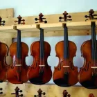 Unternehmen 2 Bild THE VIOLIN PROJECT - THOMAS MÜTHING GBR Musikinstrumente Einzelhandel am Offenbach HE