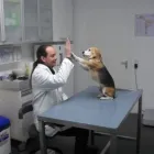 Unternehmen 1 Bild TIERARZTPRAXIS TOBIAS KRAUSE Ärzte am Berlin BE