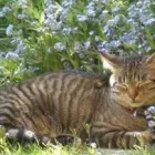 Unternehmen 5 Bild TIERARZTPRAXIS TRUDERING DR. HORST MÖRITZ | MÜNCHEN Ärzte am München BY