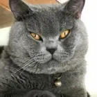 Unternehmen 6 Bild TIERARZTPRAXIS TRUDERING DR. HORST MÖRITZ | MÜNCHEN Ärzte am München BY