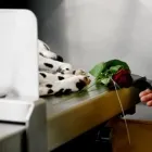Unternehmen 1 Bild TIERKREMATORIUM-SCHWARZWALD Zoohandlung am Schramberg BW