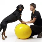 Unternehmen 2 Bild TIERVITAL TIERPHYSIOTHERAPIE Ärzte am Leipzig SN
