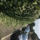 Unternehmen 14 Bild TIP TOP DIENSTE HAUSMEISTERDIENST Service & Dienstleistung am Frankfurt HE