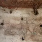 Unternehmen 5 Bild TROCKENLEGER TEAM24 Spezialbauunternehmen am Berlin BE