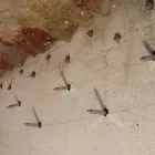 Unternehmen 8 Bild TROCKENLEGER TEAM24 Spezialbauunternehmen am Berlin BE