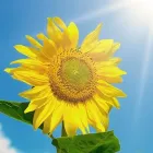 Unternehmen 97 Bild TV UND SAT-ANLAGEN | FERNSEH FESSLER | MÜNCHEN Kundendienste für Elektrogeräte am München BY