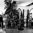 Unternehmen 5 Bild UNICUT INH. TONY DANIEL Friseursalons am Siegen NW