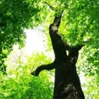 Unternehmen 2 Bild VERDE GARTENBAU MEISTERBETRIEB Gartenbauunternehmen, Landschaftsbauunternehmen am München BY