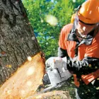 Unternehmen 4 Bild VERDE GARTENBAU MEISTERBETRIEB Gartenbauunternehmen, Landschaftsbauunternehmen am München BY