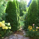 Unternehmen 6 Bild VERDE GARTENBAU MEISTERBETRIEB Gartenbauunternehmen, Landschaftsbauunternehmen am München BY