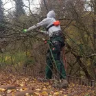 Unternehmen 8 Bild VERDE GARTENBAU MEISTERBETRIEB Gartenbauunternehmen, Landschaftsbauunternehmen am München BY