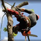 Unternehmen 11 Bild VERDE GARTENBAU MEISTERBETRIEB Gartenbauunternehmen, Landschaftsbauunternehmen am München BY