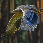 Unternehmen 1 Bild WALD-JAGD-NATURERLEBNIS E.V. Verbände am Potsdam BB