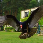 Unternehmen 2 Bild WALD-JAGD-NATURERLEBNIS E.V. Verbände am Potsdam BB
