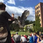 Unternehmen 3 Bild WALD-JAGD-NATURERLEBNIS E.V. Verbände am Potsdam BB