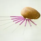 Unternehmen 9 Bild WECHSELJAHRESBESCHWERDEN BEHANDLUNG MIT BIORESONANZTHERAPIE FÜR POTSDAM / WANNSEE /  ZEHLENDORF Ärzte am Potsdam BB