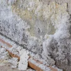 Unternehmen 11 Bild WIRMACHENTROCKEN BAUTROCKNER-VERMIETUNG Verleihunternehmen, Vermietungsunternehmen, Vermittlungsunternehmen am Augsburg BY
