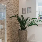 Unternehmen 4 Bild YOUNEA FACHZENTRUM FÜR AESTHETIK BERLIN Wellness-Center am Berlin BE