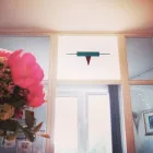 Unternehmen 3 Bild ZAHNARZT DR. GOLDIN Ärzte am Berlin BE