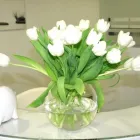 Unternehmen 4 Bild ZAHNARZT DR. JIRINA HOUDEK | MÜNCHEN SCHWABING Ärzte am München BY